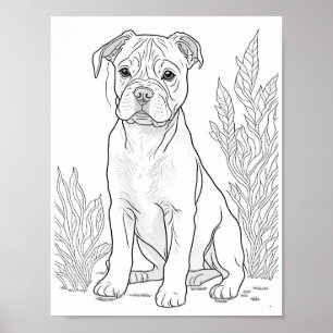Poster American Staffordshire Chien Adult Coloration