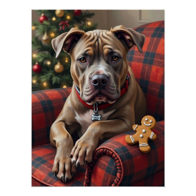 Poster American Staffordshire Terrier Cozy Christmas (Devant)