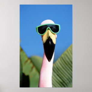 Poster Amérique du Nord, États-Unis, Californie, San Dieg