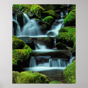 Poster Amérique du Nord; États-Unis; Washington, Cascade