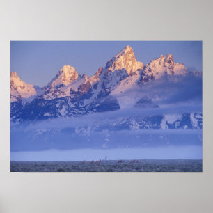Poster Amérique du Nord, États-Unis, Wyoming, Parc nation