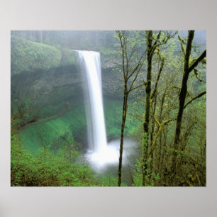 Poster Amérique du Nord, USA, Oregon, Silver Falls State