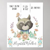 ami de forêt bébé racoon statistiques de naissance