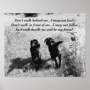 Poster Amis - Black Lab