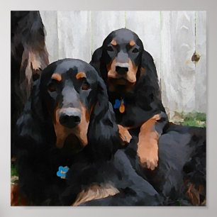Poster Amis Gordon Setter Peinture en tant qu'impression