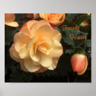 Poster Amis pour toujours