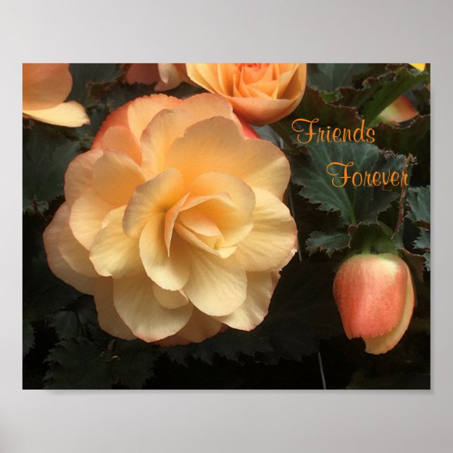 Poster Amis pour toujours (Devant)