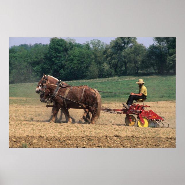 Poster Amish Pays simples gens dans l'agriculture avec (Devant)