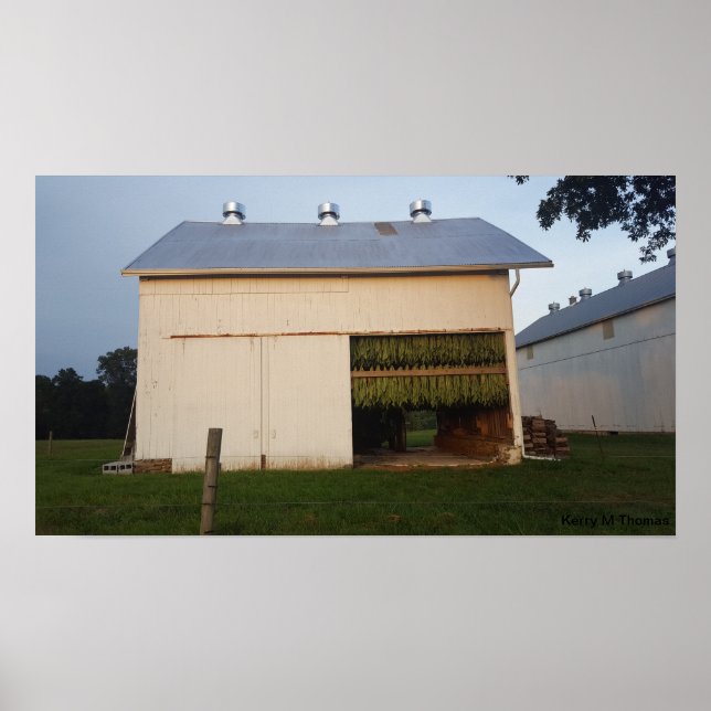 Poster Amish Tobacco Grange/Pennsylvanie (Devant)