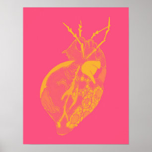 Poster Amoeba Minx : Bubble Yum