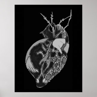 Poster Amoeba Minx : Inkwell