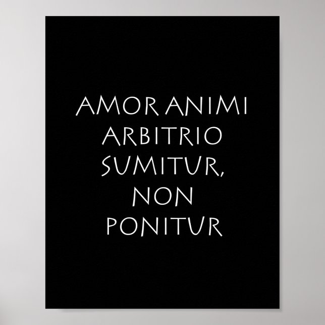 Poster Amor (Devant)