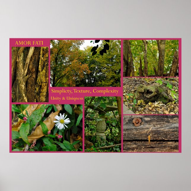 Poster Amor Fati (Devant)