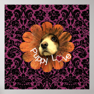 Poster Amour de chiot