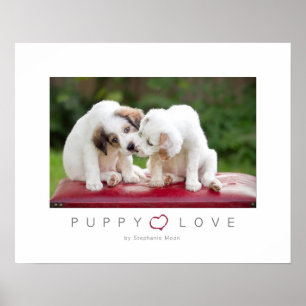 Poster Amour de chiot
