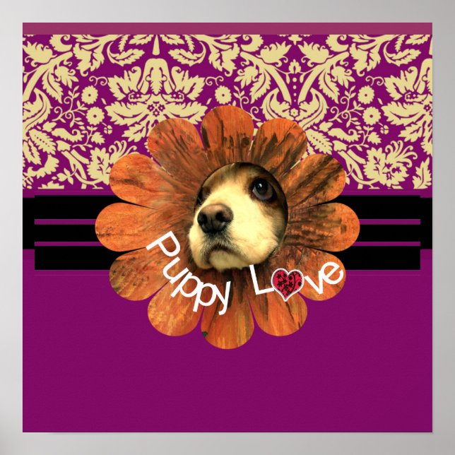 Poster Amour de chiot (Devant)