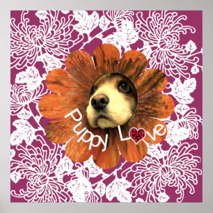 Poster Amour de chiot