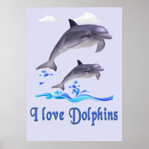 Poster Amour de dauphin