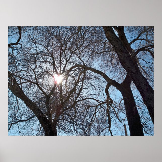 Poster Amour de la nature (Devant)