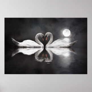 Poster Amour du lac de Swan