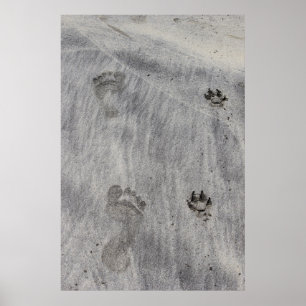 Poster Amour écrit sur le sable