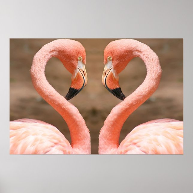 Poster Amour Flamant rose (Devant)