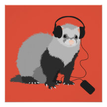 Amoureux de la musique furet