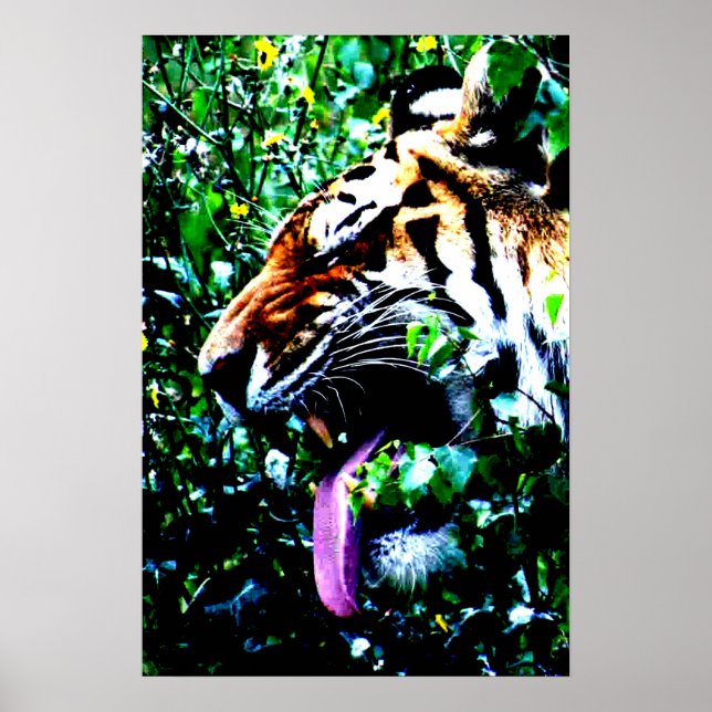 Poster Amur Tiger wapcnm (Devant)
