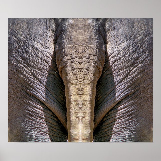 POSTER AMUSANT ÉLÉPHANT (Devant)