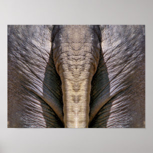 POSTER AMUSANT ÉLÉPHANT