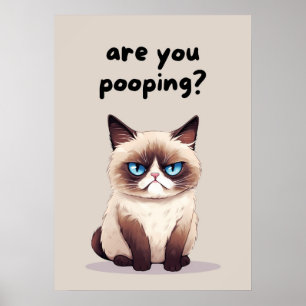 Poster Amusant Humour de salle de bain de chats