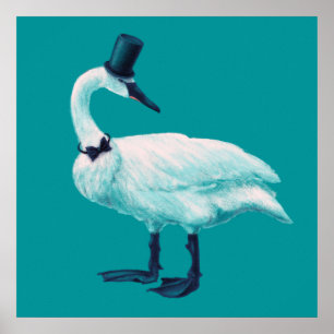 Poster Amusant observation des oiseaux de cygne