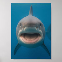 Amusant sans dents grand requin blanc peint art