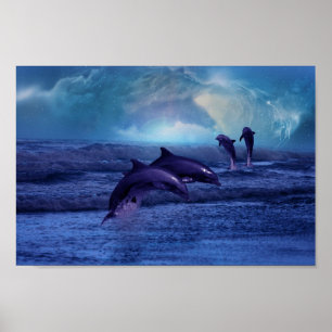 Poster Amusement et jeu de dauphins
