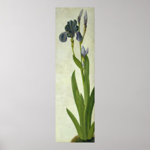 Poster An Iris