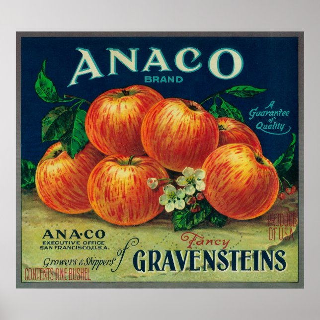 Poster Anaco Apple Étiquette (Devant)