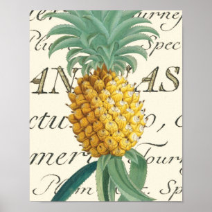 Poster Ananas avec le détail calligraphique