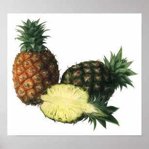 Poster Ananas Hawaiien vintage, Fruit de nourriture biolo