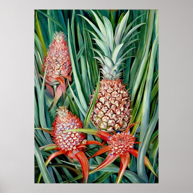 Poster Ananas par Marianne North - Paysage exotique (Devant)