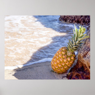 Poster Ananas penché sur les rochers à la plage