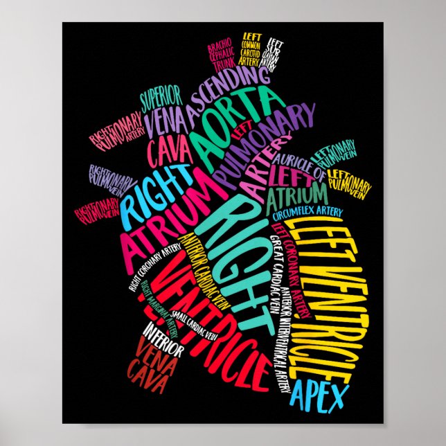 Poster Anatomical Heart Design Cardiac Cardiovascular Icu (Devant)