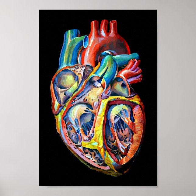Poster anatomie cardiaque humaine colorée art abstrait (Devant)