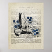 Anatomie de la cheville avec Accent Floral Bleu