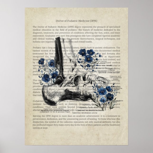 Poster Anatomie de la cheville avec Accent Floral Bleu (Devant)