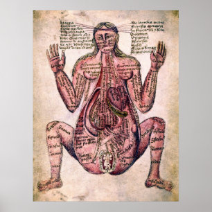 Poster ANATOMIE de la FEMME ENCEINTE c. 14 siècle