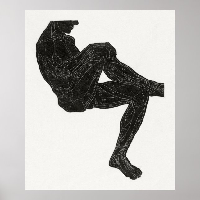 Poster Anatomie de l'homme 3 (Devant)