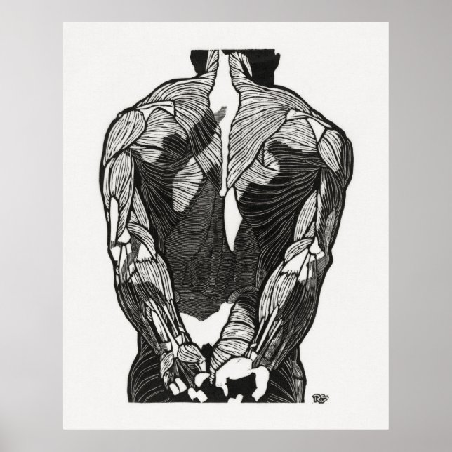 Poster Anatomie de l'homme 5 (Devant)
