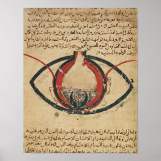 Poster Anatomie de l'oeil, d'un livre sur les maladies oc