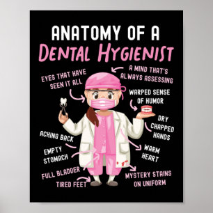 Poster Anatomie Dentaire Hygiéniste Dentaire D'Un Dentair
