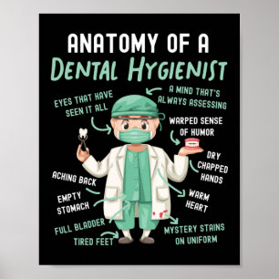 Poster Anatomie Dentaire Hygiéniste Dentaire D'Un Dentair